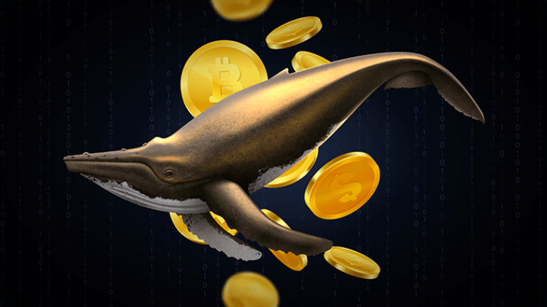 kripto balinaları-1