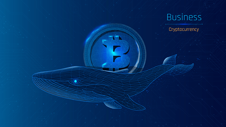 kripto balinaları-3
